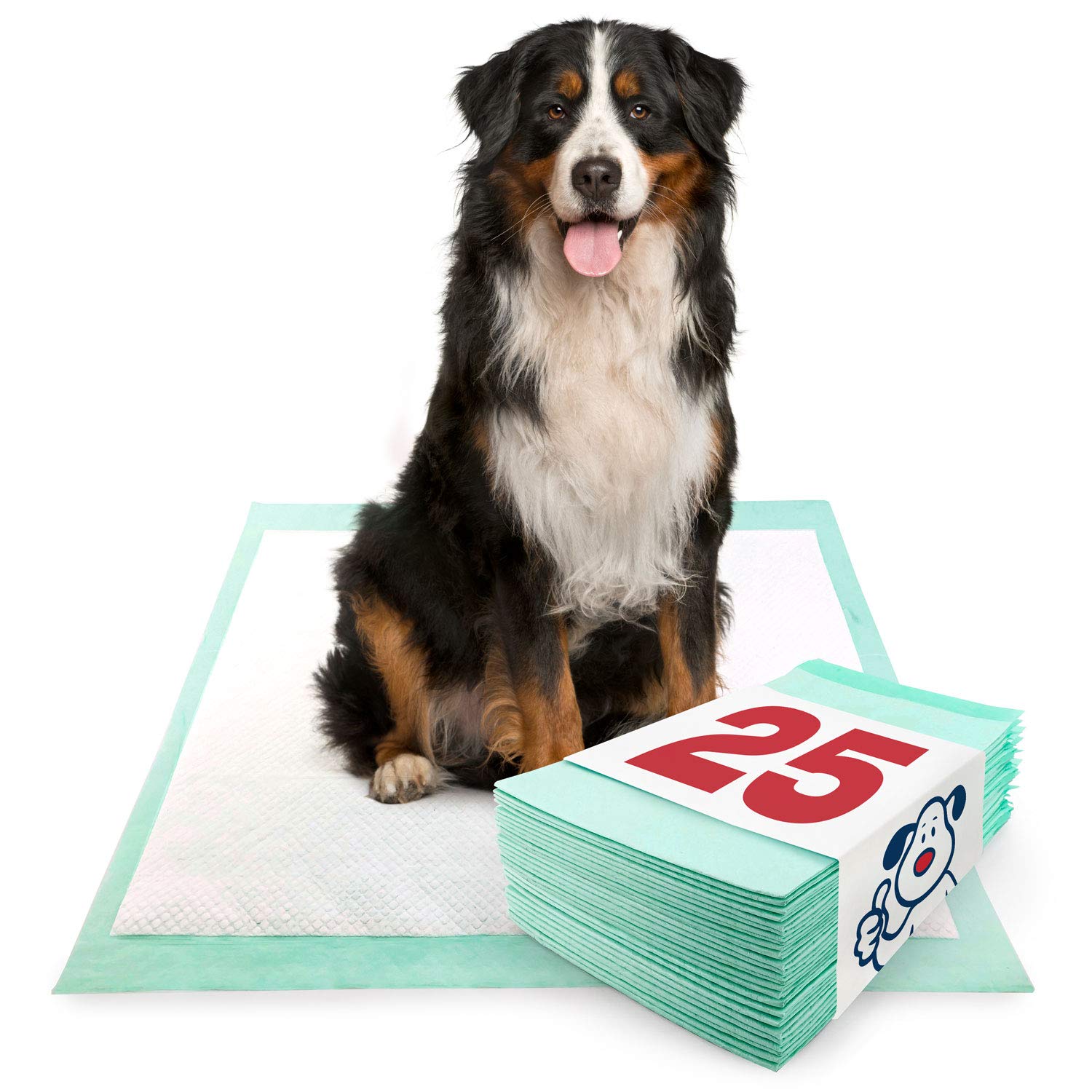 Why Do Dogs Pee When Left Alone
