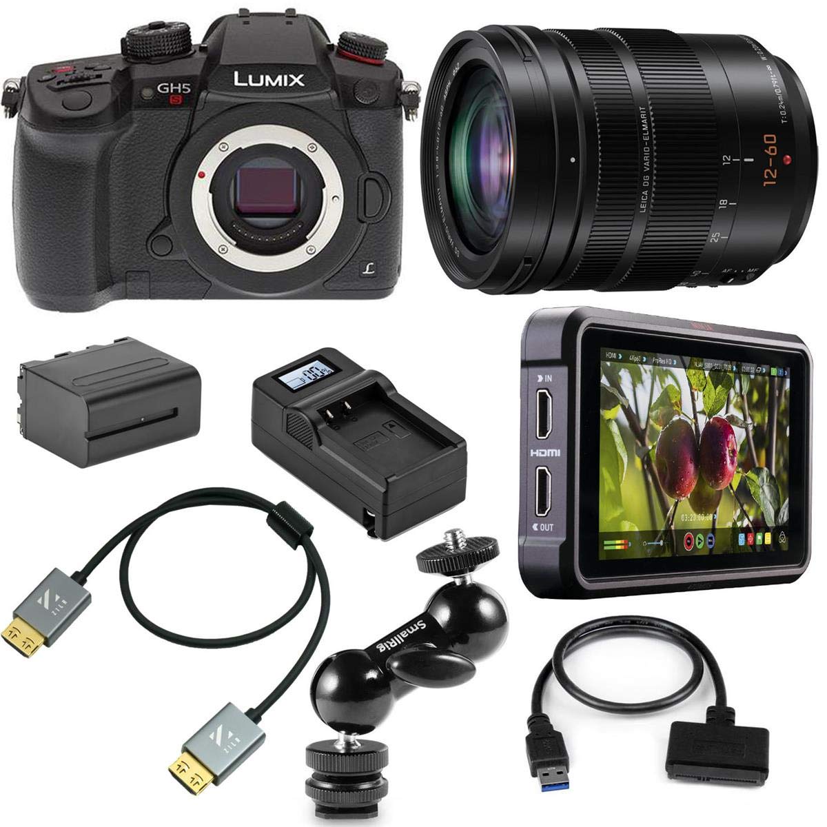 Amazon.com : Panasonic Lumix DC-GH5s Mirrorless Digital Camera 