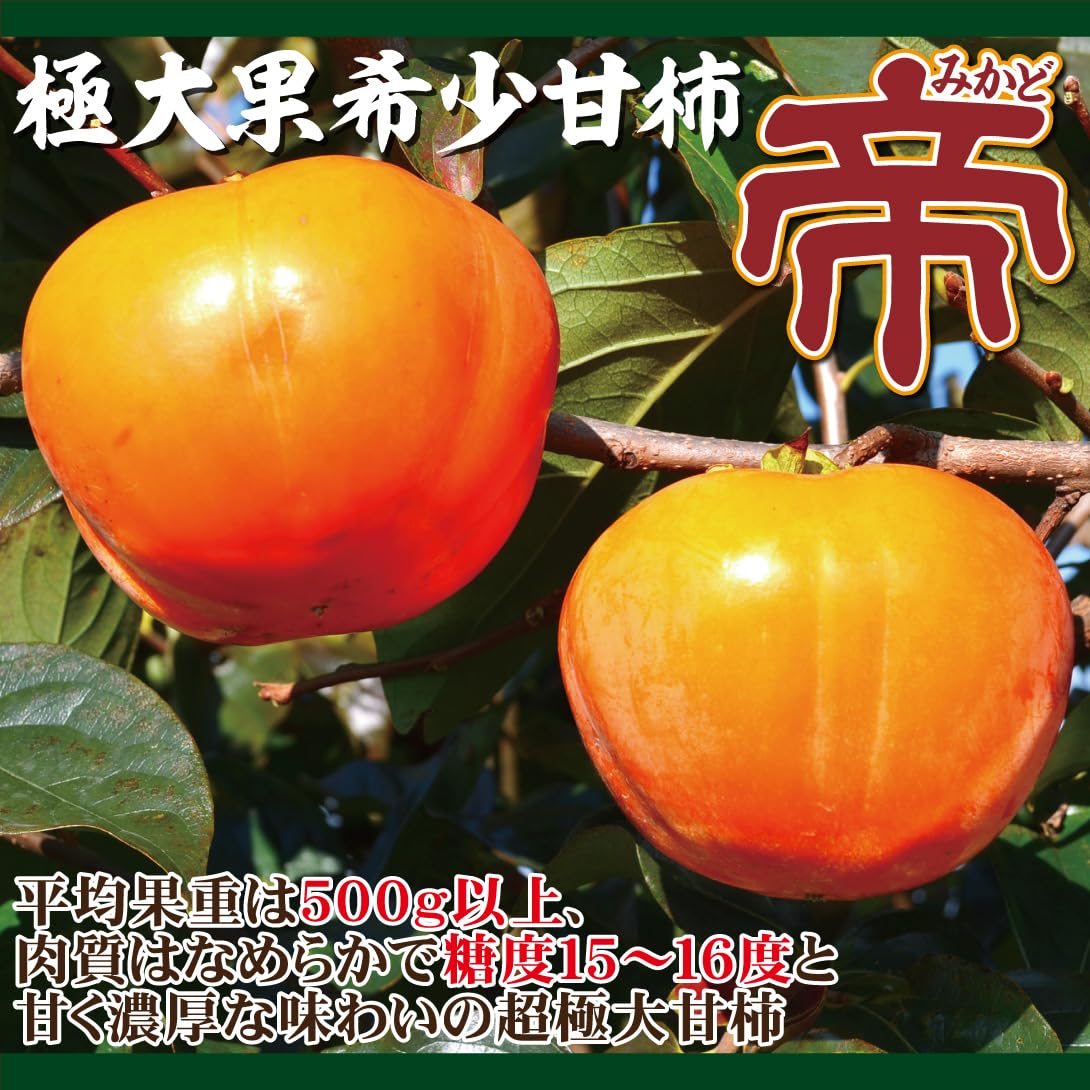 Amazon.co.jp: 果樹苗 カキ 完全甘柿 帝 1株 / 国華園 25年春商品