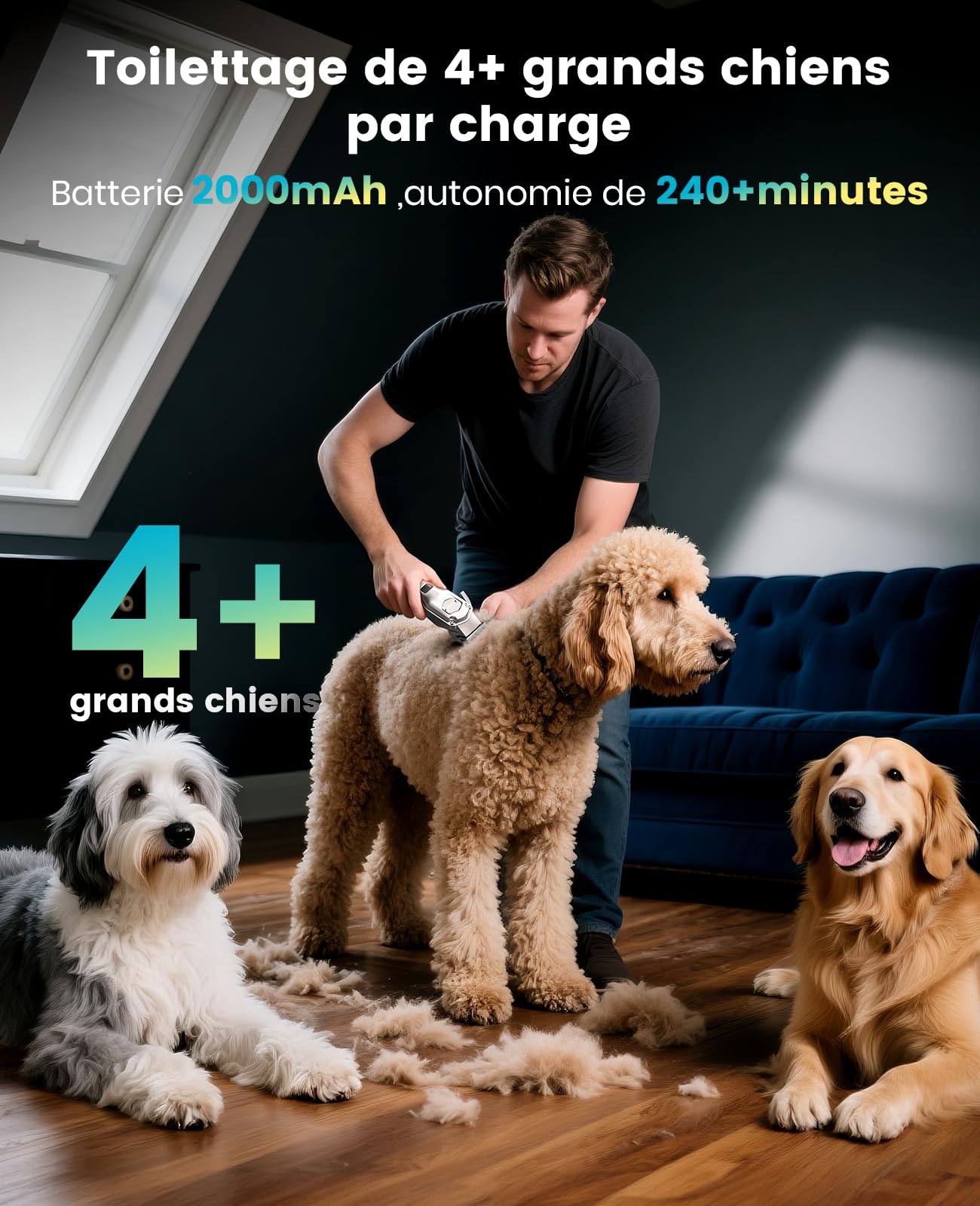 Tondeuse pour chien 4 en 1 oneisall pour poils épais/denses, tondeuse professionnelle silencieuse/coupe-griffes/lime à ongles pour petits et grands chiens et chats, batterie 4h