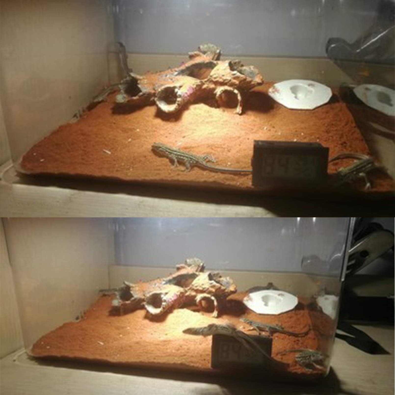 PINVNBY 2Pcs Decaying Trunk Driftwood Aquarium Ornament Small Resin Wood Trunk Aquarium Decoration Log Tank Decoration for up to 20 Gallon Tank Betta Fish Accessories Cichlid Hideout Shrimp Cave - Image 4