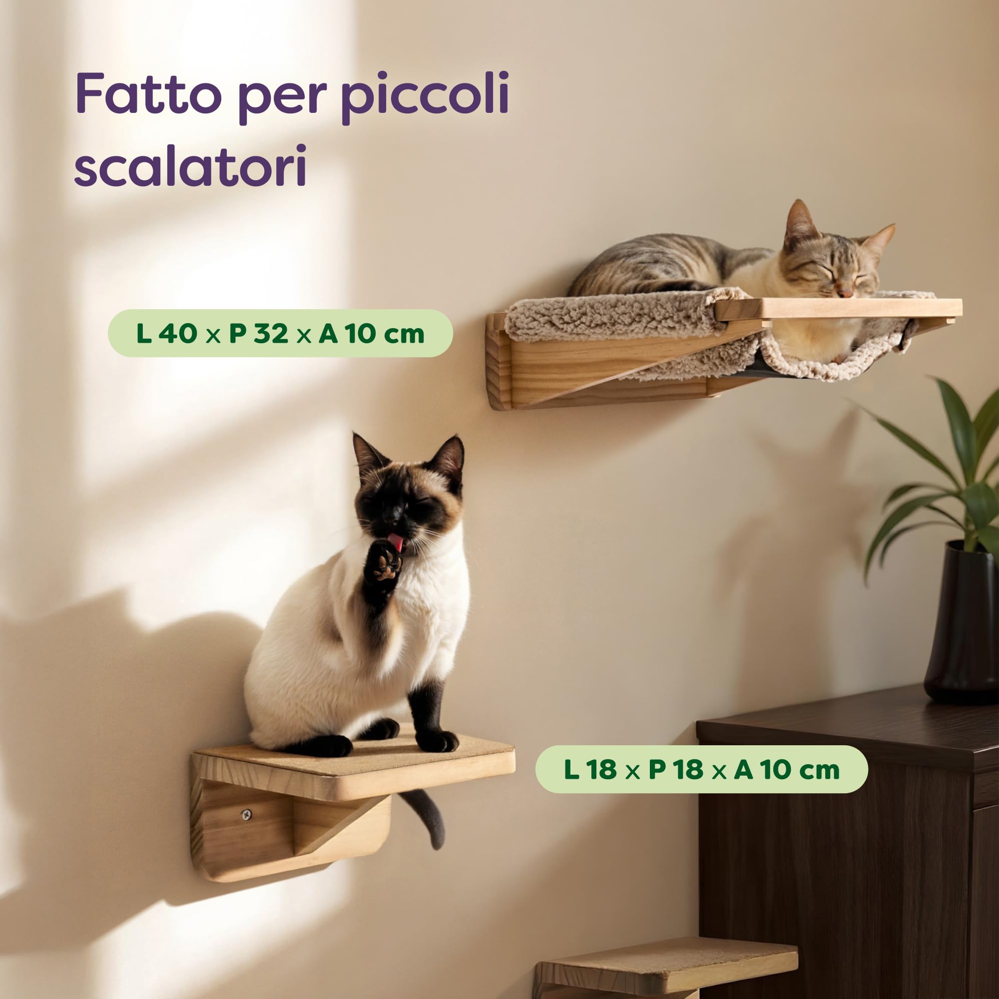 Knupis Mensole da Parete per Gatti con Amaca & 2x Scale – Legno di Pino Massiccio FSC®, Amaca da Parete Robusta fino a 30 kg – per Gioco & Comfort - Beige