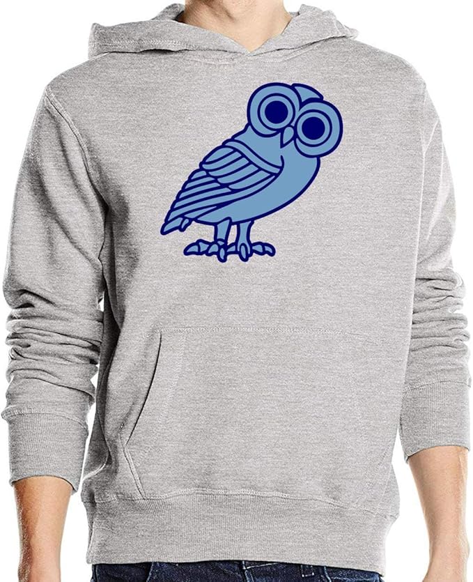 Luckyprint Ancient Greek Blue Owl Simple Art Pullover Hoodie Amazon