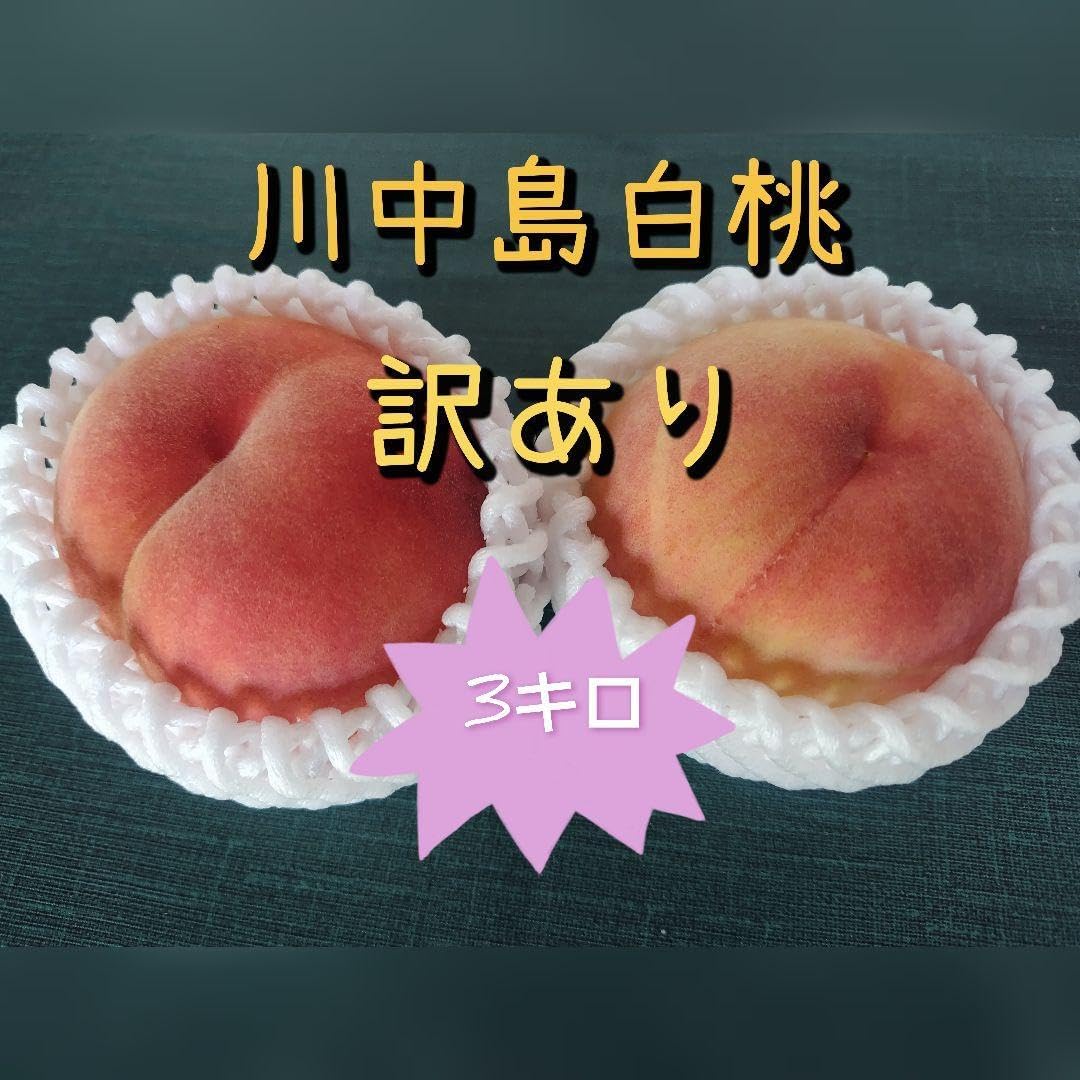 山形東根産 川中島 白桃 3kg JAひがしね | G-Callショッピング ★★ 川中島白桃 3キロ 山形県産