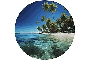 Palm Trees and Clear Sea Chair Cushions: Elevate Your Dining Experience