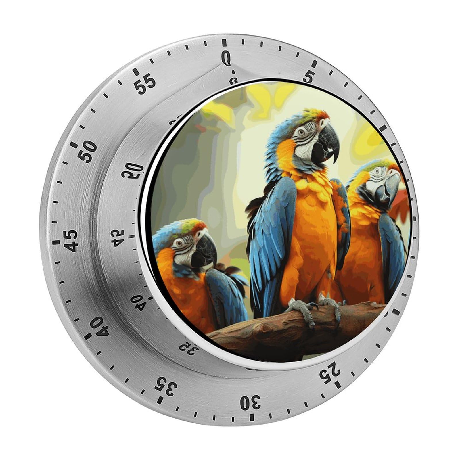 Cute Parrots Manual Countdown Timer with Magnetic Base Visual Mechanical Timer for Classroom Home Study and Cooking