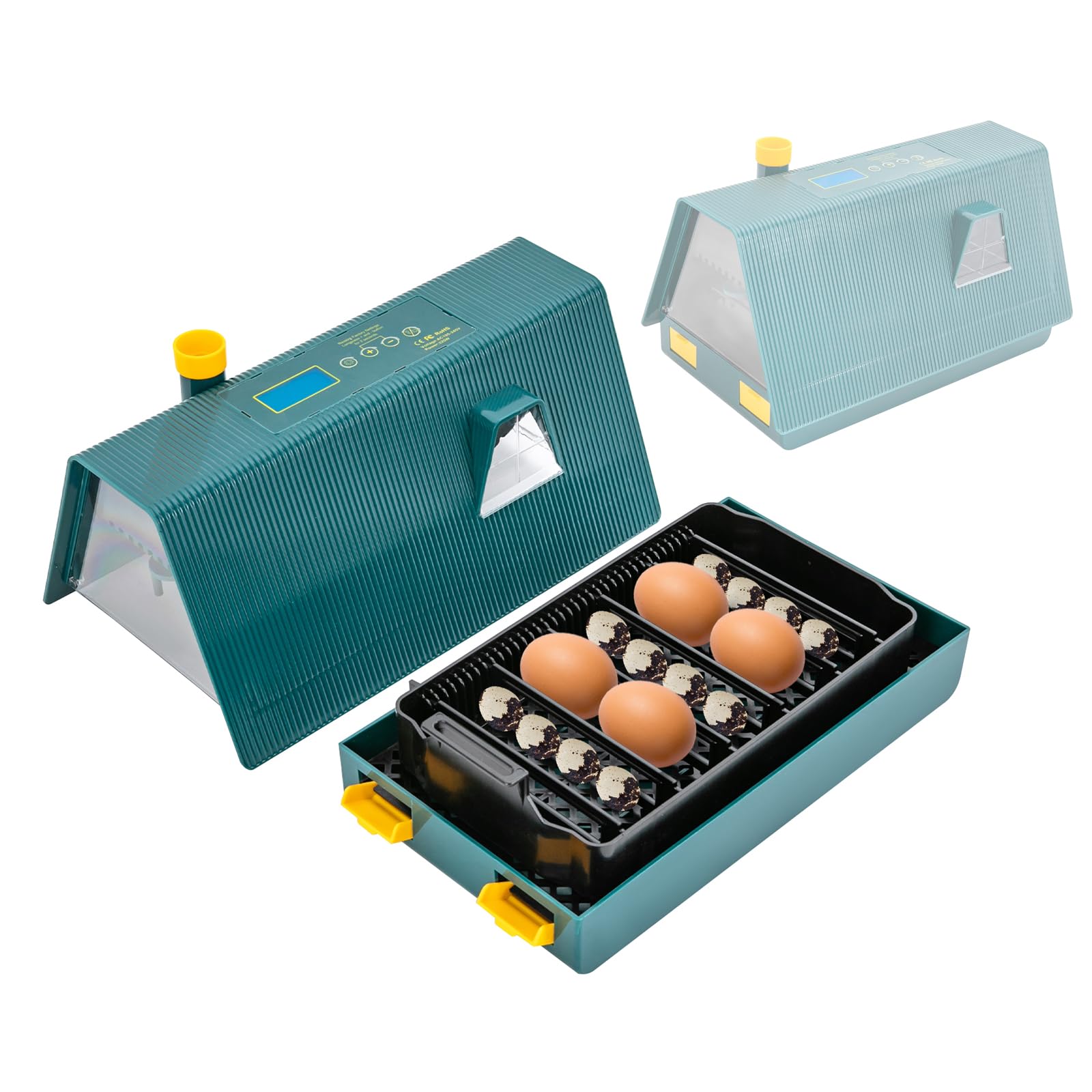 Incubatrice completamente automatica, incubatrice per 10-20 uova, incubatrice temperatura regolabile 30-40 ℃ con rotazione automatica delle uova, lampada per uova da cova, galline, anatre