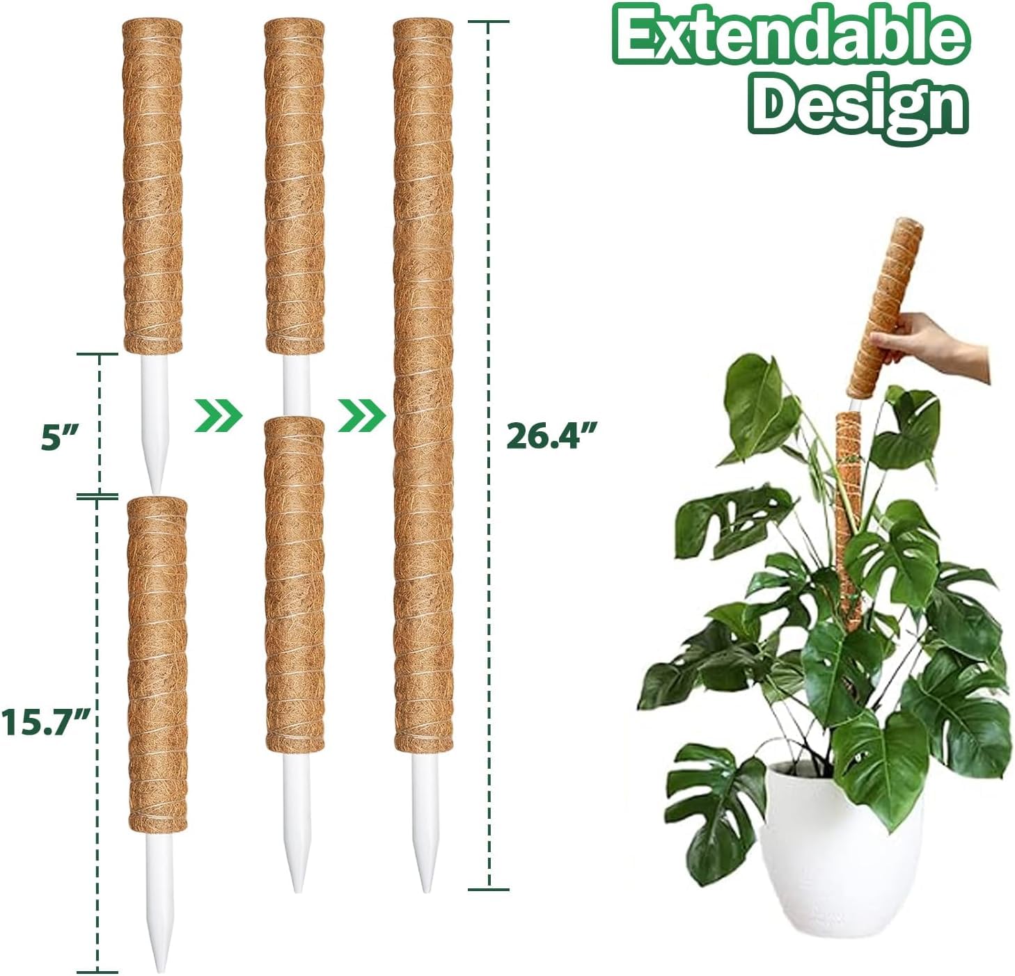 Lot de 4 bâtons de mousse pour plantes grimpantes d'intérieur, 160 cm pour Monstera, support en fibre de coco pour plantes en pot
