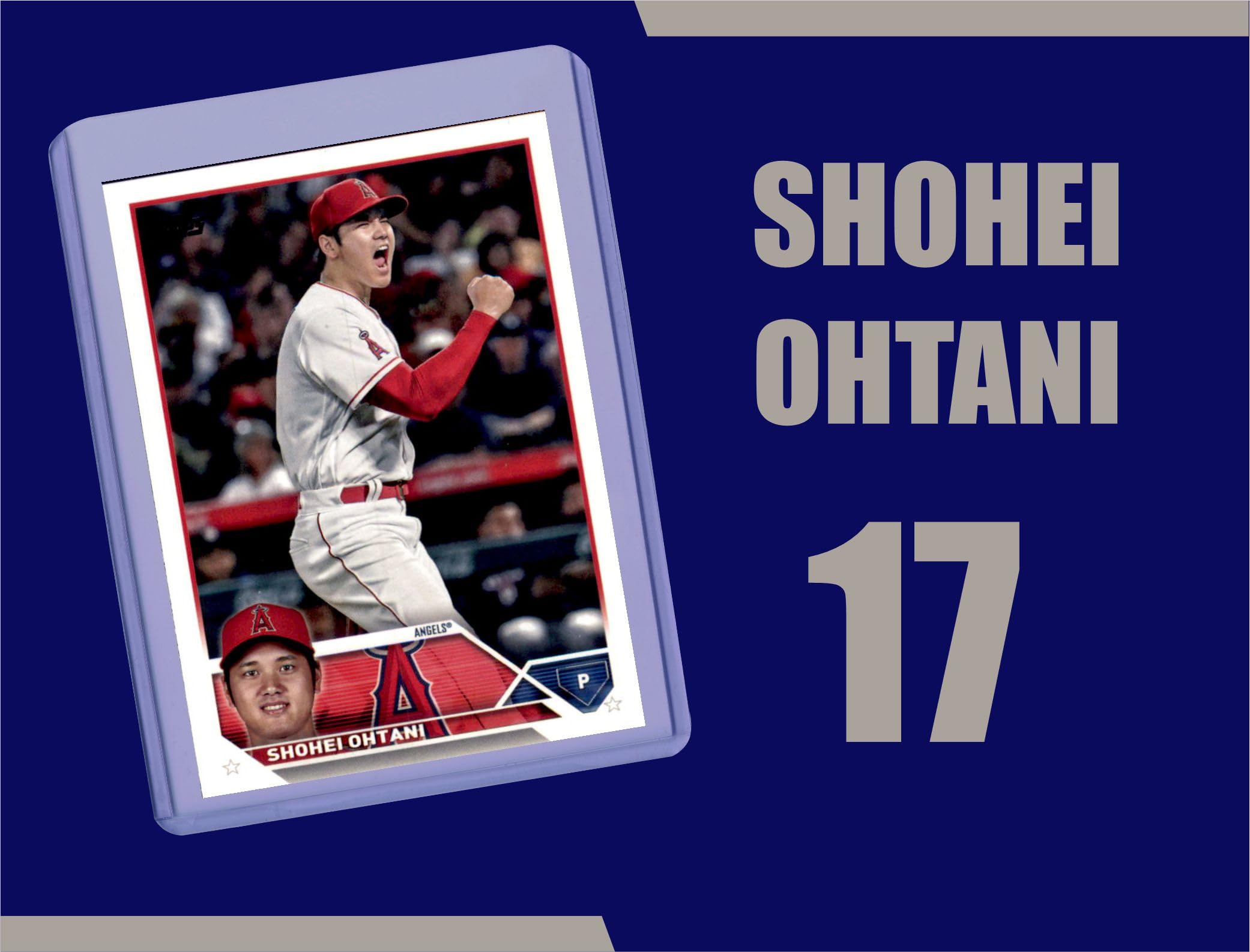 Amazon.com: Shohei Ohtani (5) Assorted Baseball Cards Gift Pack 