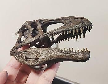 木彫　恐竜　メラクセス　頭骨模型1/10 スケール 木彫 恐竜 メラクセス 頭骨模型1/10 スケール 木彫 恐竜