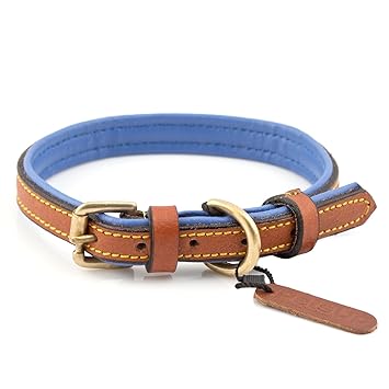 puppy belt amazon