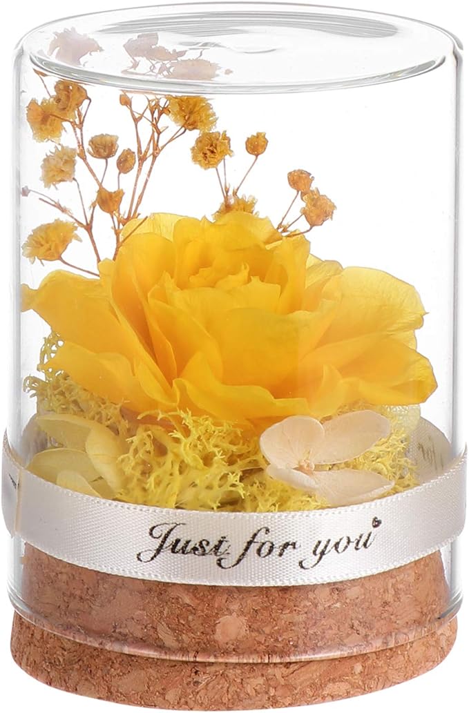 Yardwe Preserved Flower In Glass Dome Everlasting Forever Handmade