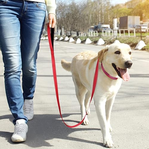 Miniatura 6 de TagME Collar de perro personalizado con nombre, collares bordados personalizados con nombre de mascota y número de teléfono para perros medianos,