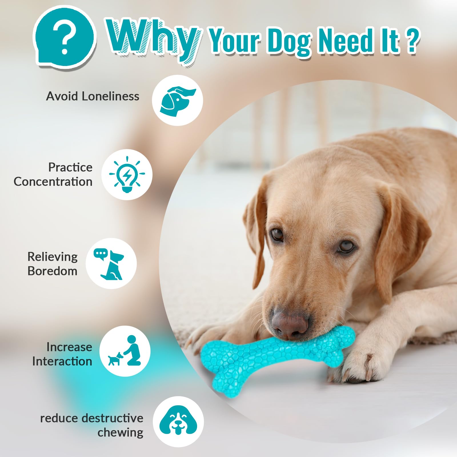 Robustes Hundespielzeug Für Starke Kauer – Aus Nylon, Für Mittelgroße/große Hunde, Befüllbar