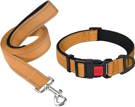 Taglory 10"-16" Dog Collar and 5 FT Dog Leash Set, Highly Reflective Threads Dog Leash, Adjustable Reflective Dog Collar with Safety Locking Buckle for Small Dogs