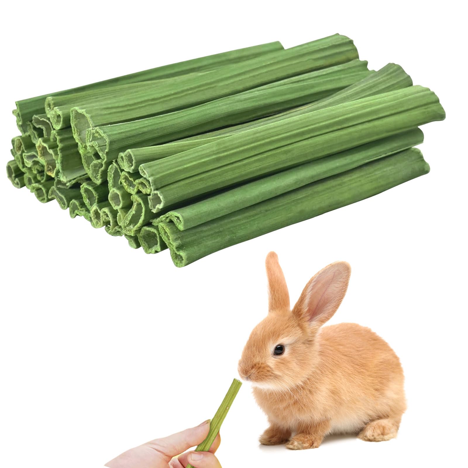 Amazon | ウサギ 噛むおもちゃ 40g パパイヤの葉の茎 小動物用の