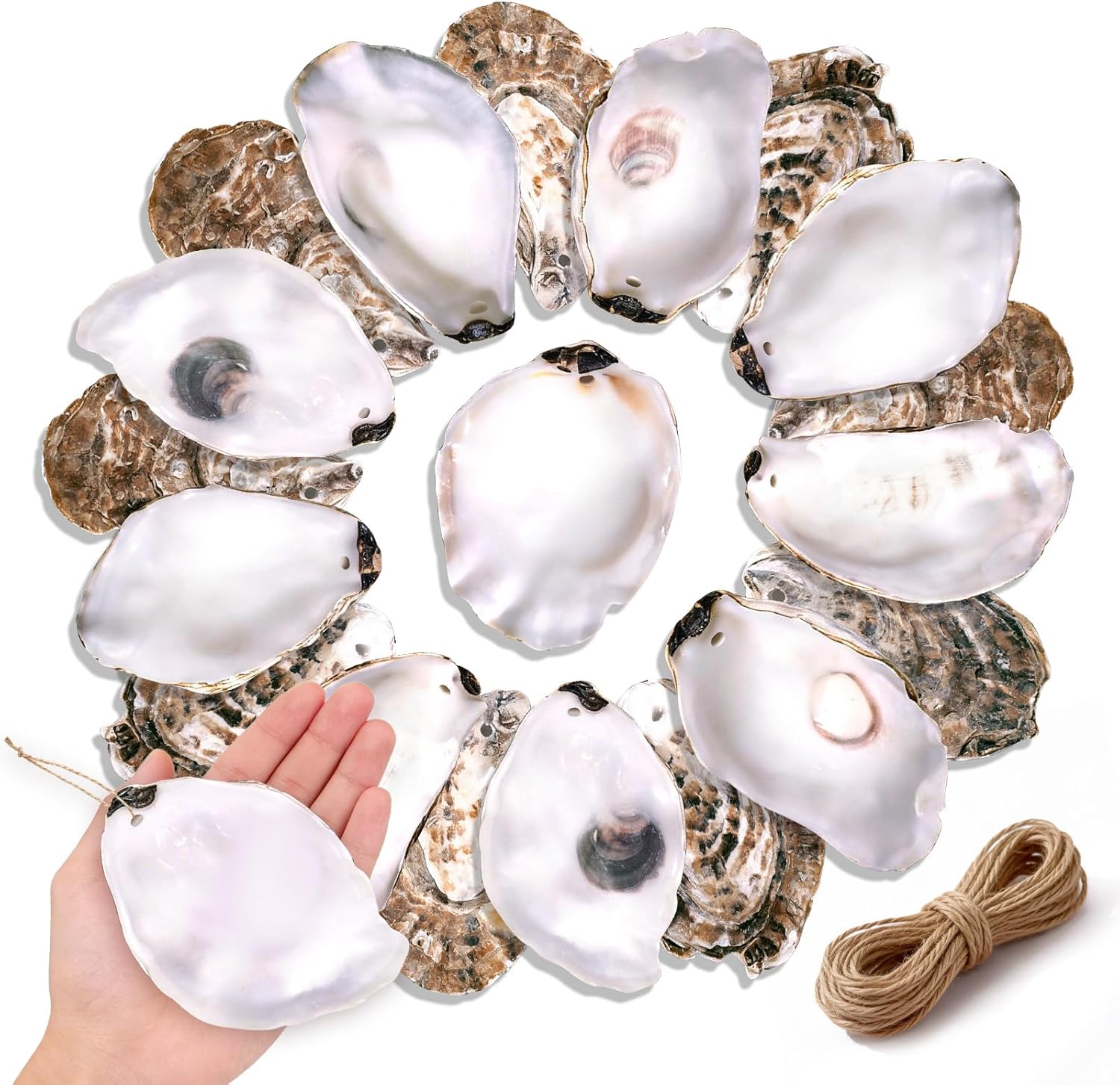 20Pcs Oyster Shells for Crafts,4"-5" Natural Large Flat Oyster Shells with Holes Drilled & Jute Rope for DIY Crafting, Sea Shells Ornaments Decoupage for Beach Home Decor Painting Chicken (20)