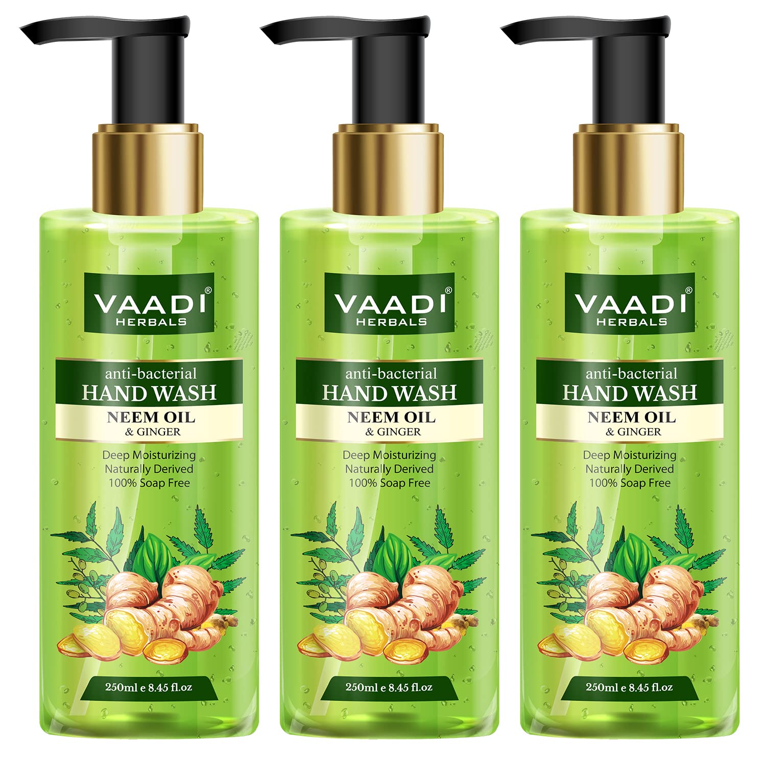 Vaadi Herbals Anti Bacterial Neem Oil and Ginger Hand Wash - 250 ml (Pack of 3)