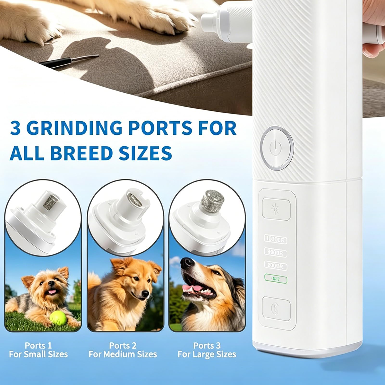 PANGBOER Smerigliatrice per Artigli per Cani e Gatti per toelettatura Domestica con Controllo a 3 velocità e 2 testine smerigliatura Smerigliatrice USB per Animali Domestici Toelettatura per Animali
