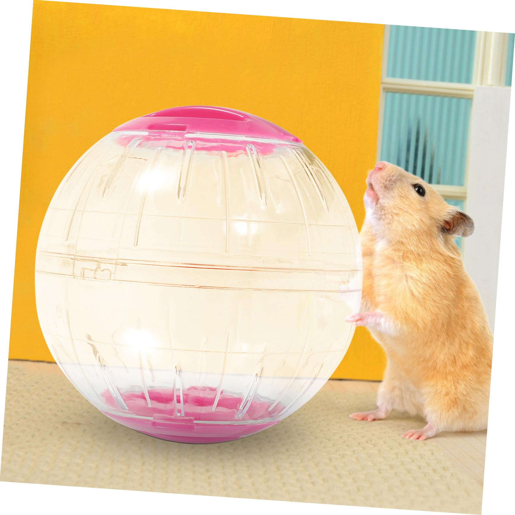 Roue à Hamster Silencieuse Transparente 4pcs en Plastique