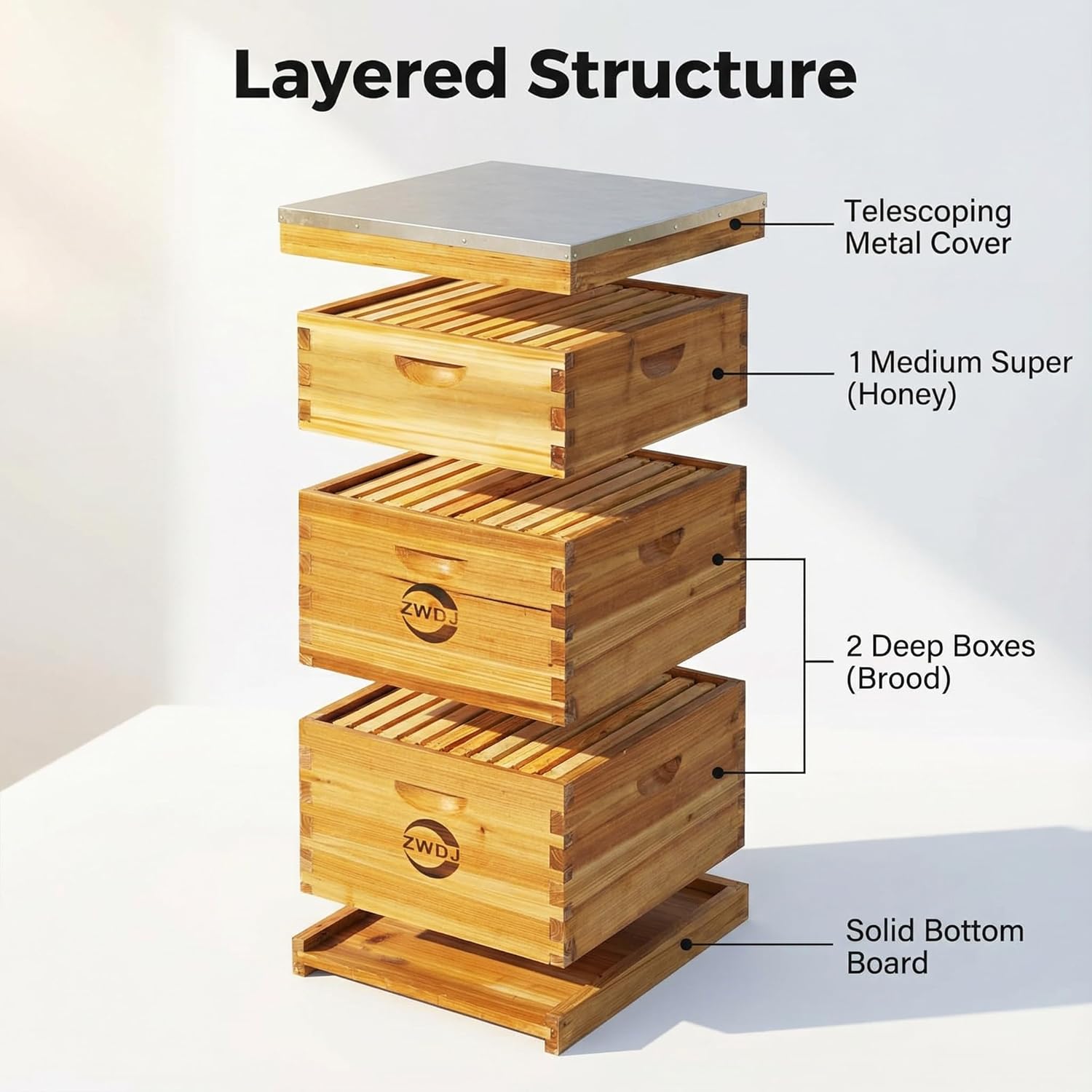10 Frame Beehive Kit with Beeswax Coated Frames, Complete Langstroth Beehive for Beekeeping, Includes Waxed Foundation, 2 Deep Boxes and 1 Medium Box for Honey Production
