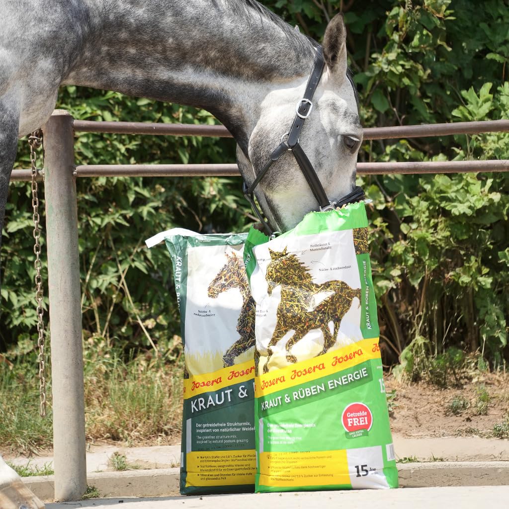 JOSERA Erba e barbabietole Energy (1 x 15 kg). cibo per cavalli di alta qualità. mix energetico di classe extra. ricetta senza cereali. costruzione muscolare efficiente