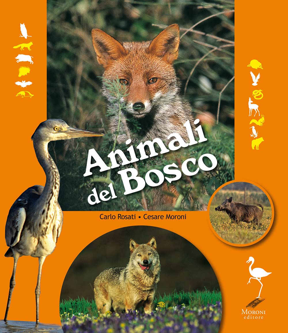Animali Del Bosco - 4