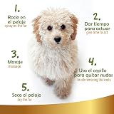 Ver la foto 6