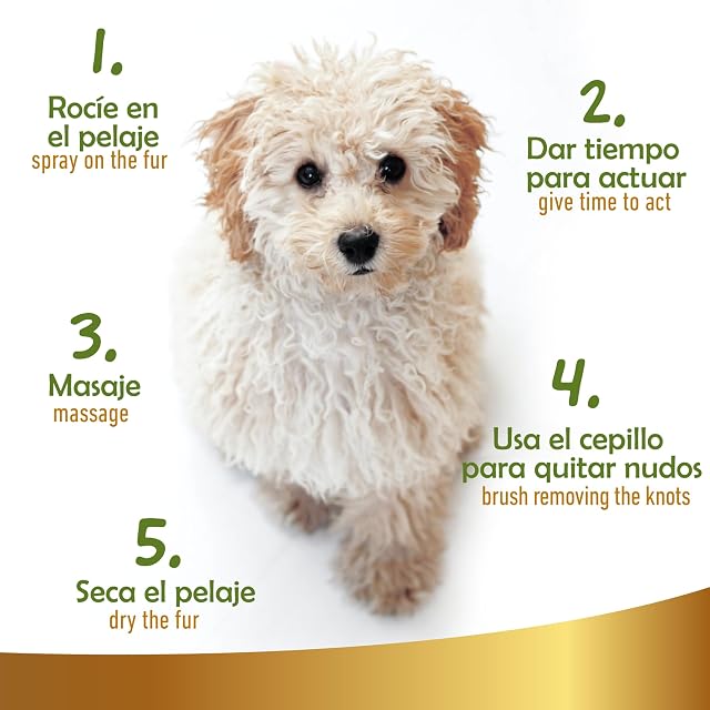 Foto 6 de 8 de Champù en Seco Natural para Perros, 250 ml - Sin Necesidad de Agua ni Aclarado
