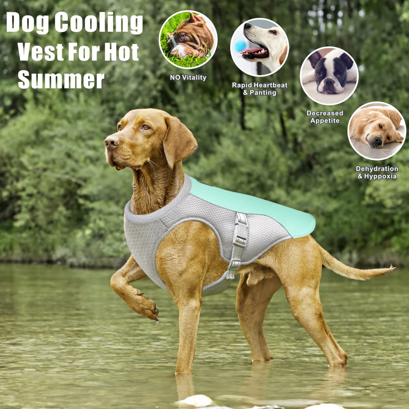 Gilet de Refroidissement pour Chien,Veste de Refroidissement pour Chien en Maille Respirante Réglable Manteau d'été pour Chien Manteau de Glace de Sécurité (L, Bleu)