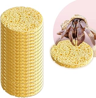 20 Pieces Hermit Crab Sponges,Real Pets Crab Sea Sponges in Yellow,Provide Nutrients Crab Sponges,Hermit Crab Water Dish Sea Sponge,for Pet Hermit Crab Tank Humidity Supplies