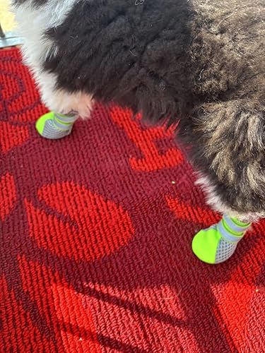 Miniatura 8 de Botas de malla Lonsuneer para cachorro para uso diario con suela suave y antideslizante, con 2 correas de velcro largas, seguras y reflectantes,