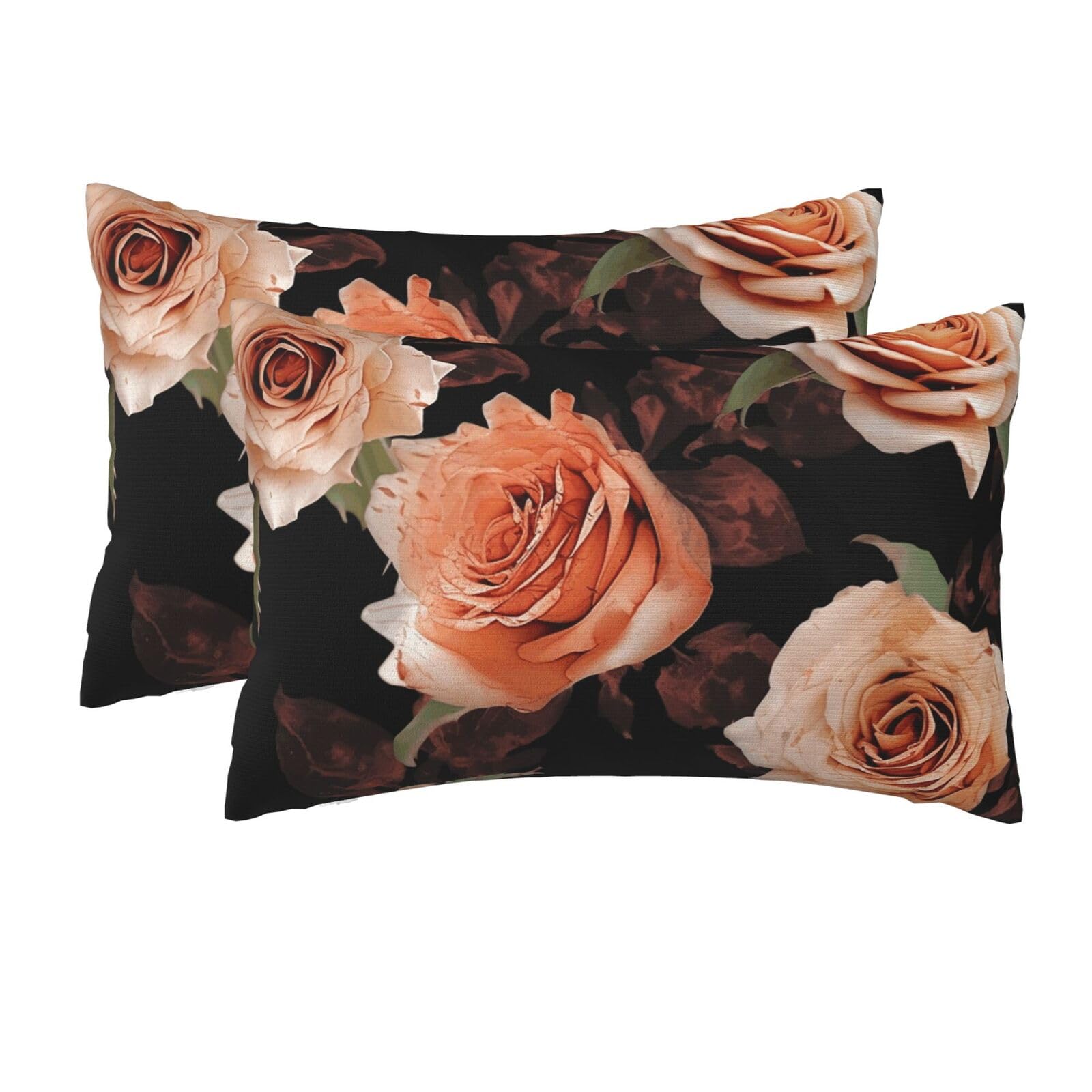 2 Pack Queen Size Pillow Cases for Hair and Skin Soft Breathable Pillow Case Covers with Hidden Zipper Black Peach Rose Pillowcase 20x30 Inches Pillow Cover for Sleeping Gift
