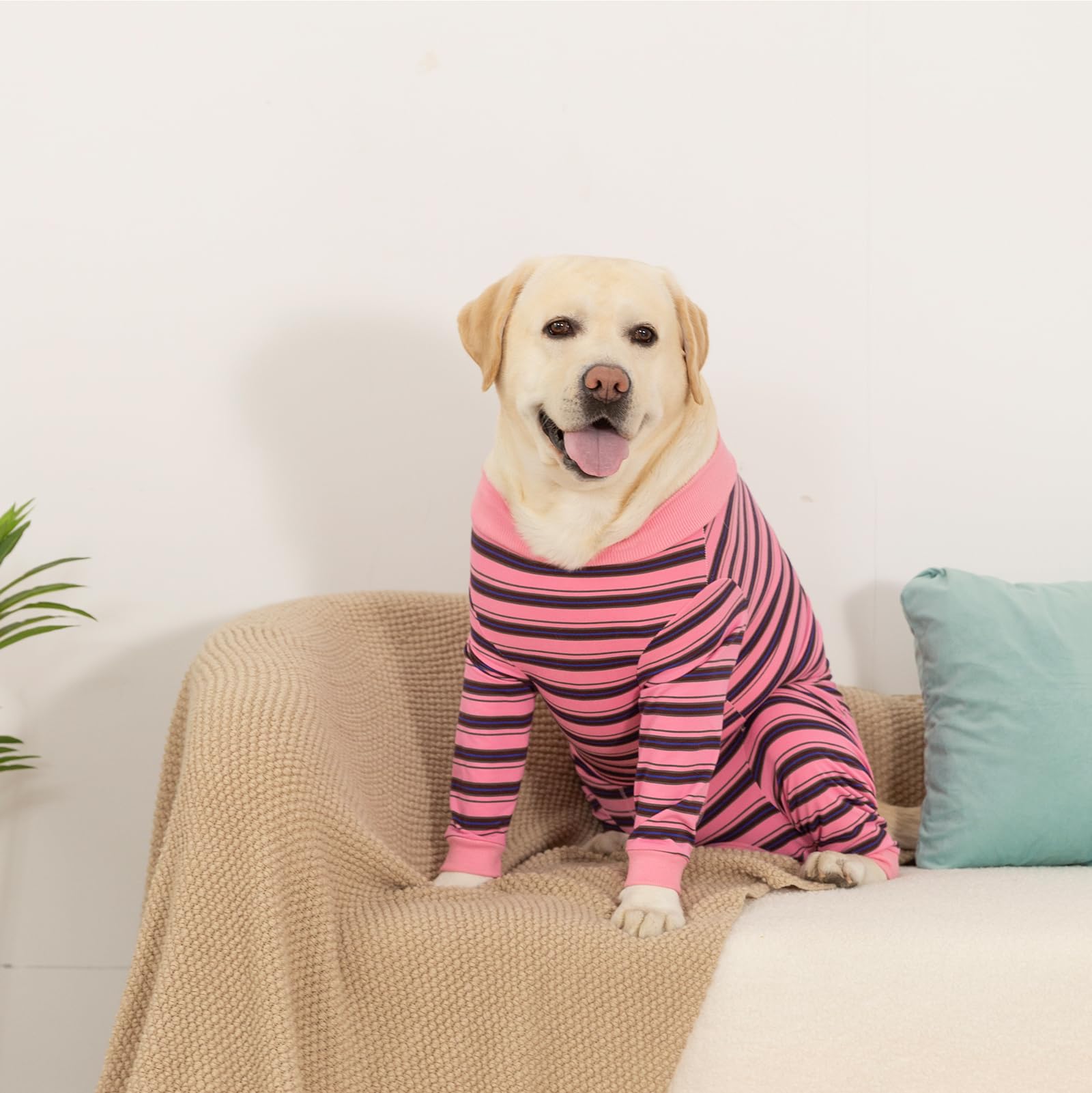 DoggieKit Dog Surgical Recovery Suit for Dogs After Surgery Dog Recovery Shirt, Pet Anti-licking Surgery Suits - Image 2