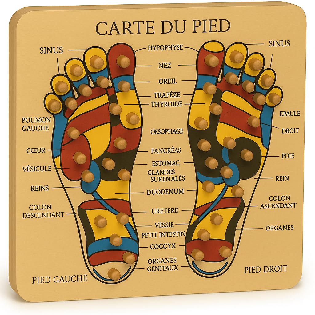 Planche Bois Carte du Pied Massage Réflexologie/Acupression