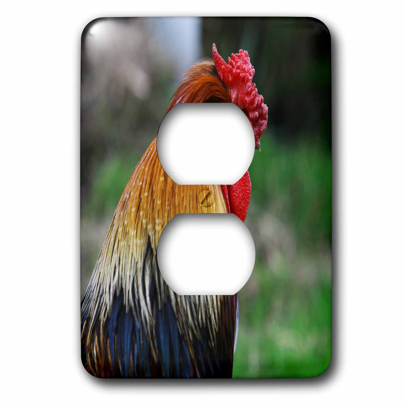 Photographie de coq 3dRose lsp_267558_6 pour interrupteur double