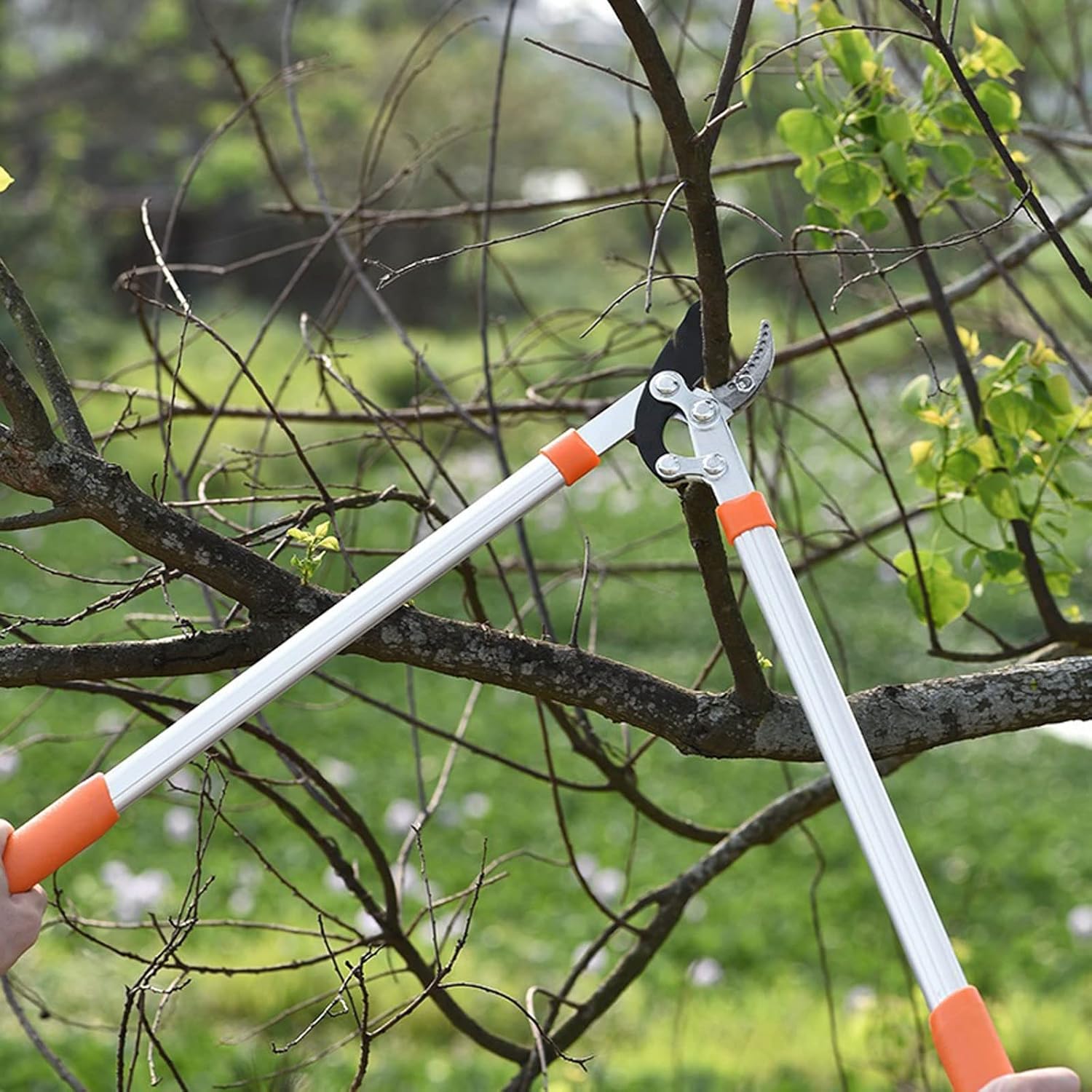 INLIMA Gardening Scissors 1pc Gardening Tools Equipment Cutting Long Handle Garden High Branch Hand Orchard Tool Pruner Secateurs