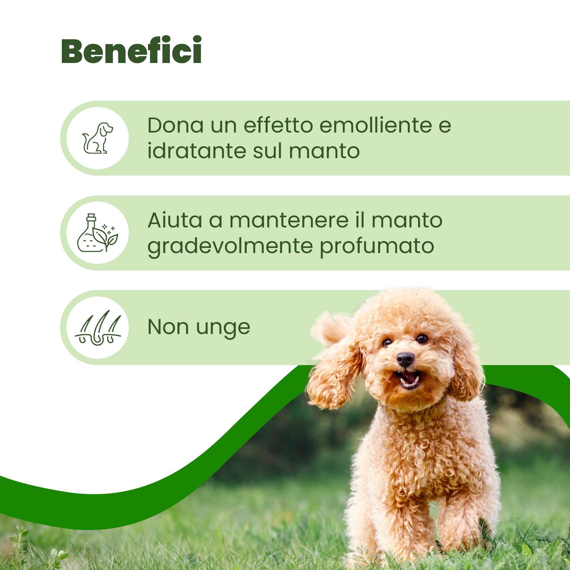 CAMON | Spot-On Protection Cane (0-10kg), 5 Fiale da 3ml con Olio di Neem, Naturale e Efficace