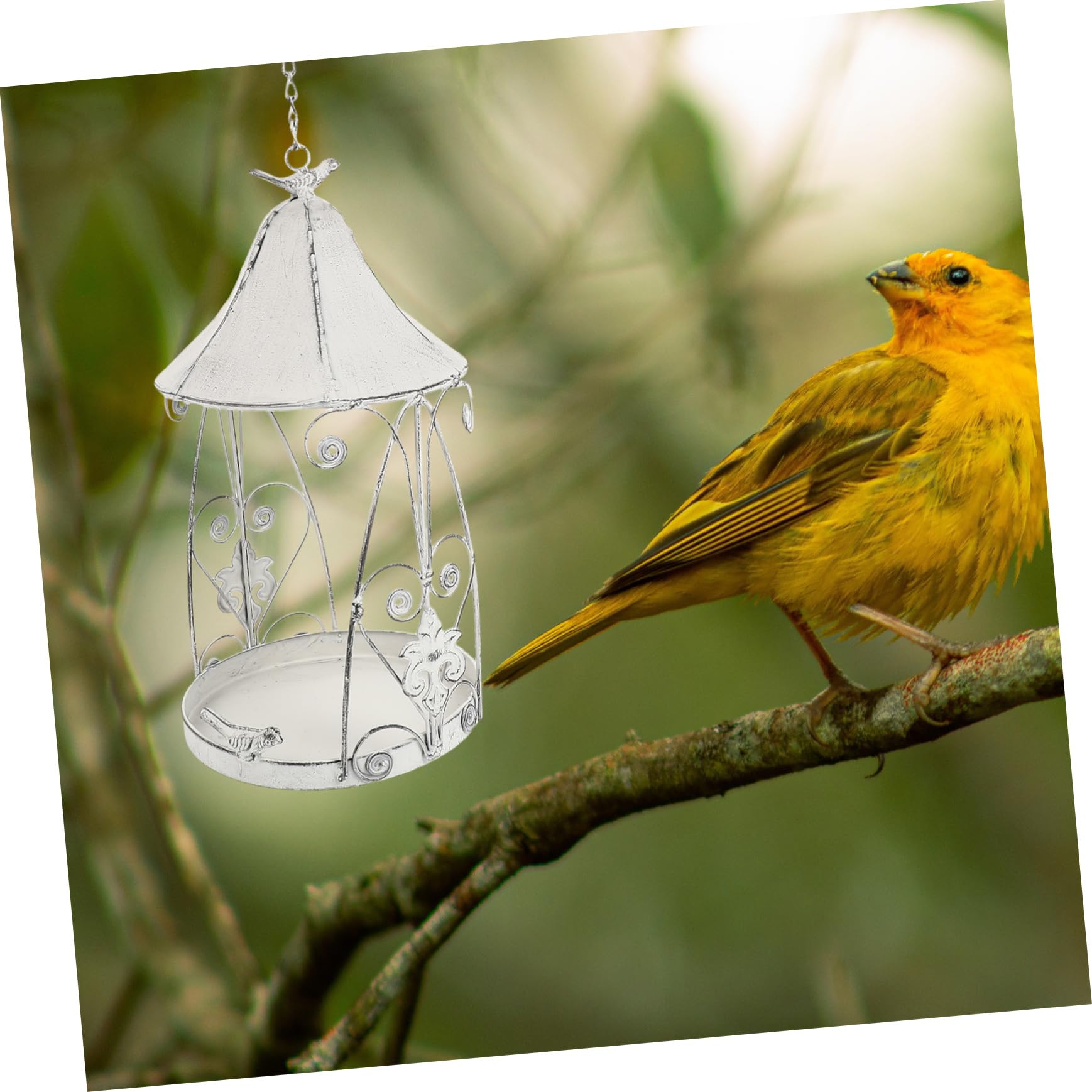 1stück Vogel Futterstation Weiß Dekorativer Hängender Futterbehälter Für Garten Für Kleine Vögel Wie Kanarienvögel Und Lärchen Natur Ihren Garten Zu Bringen