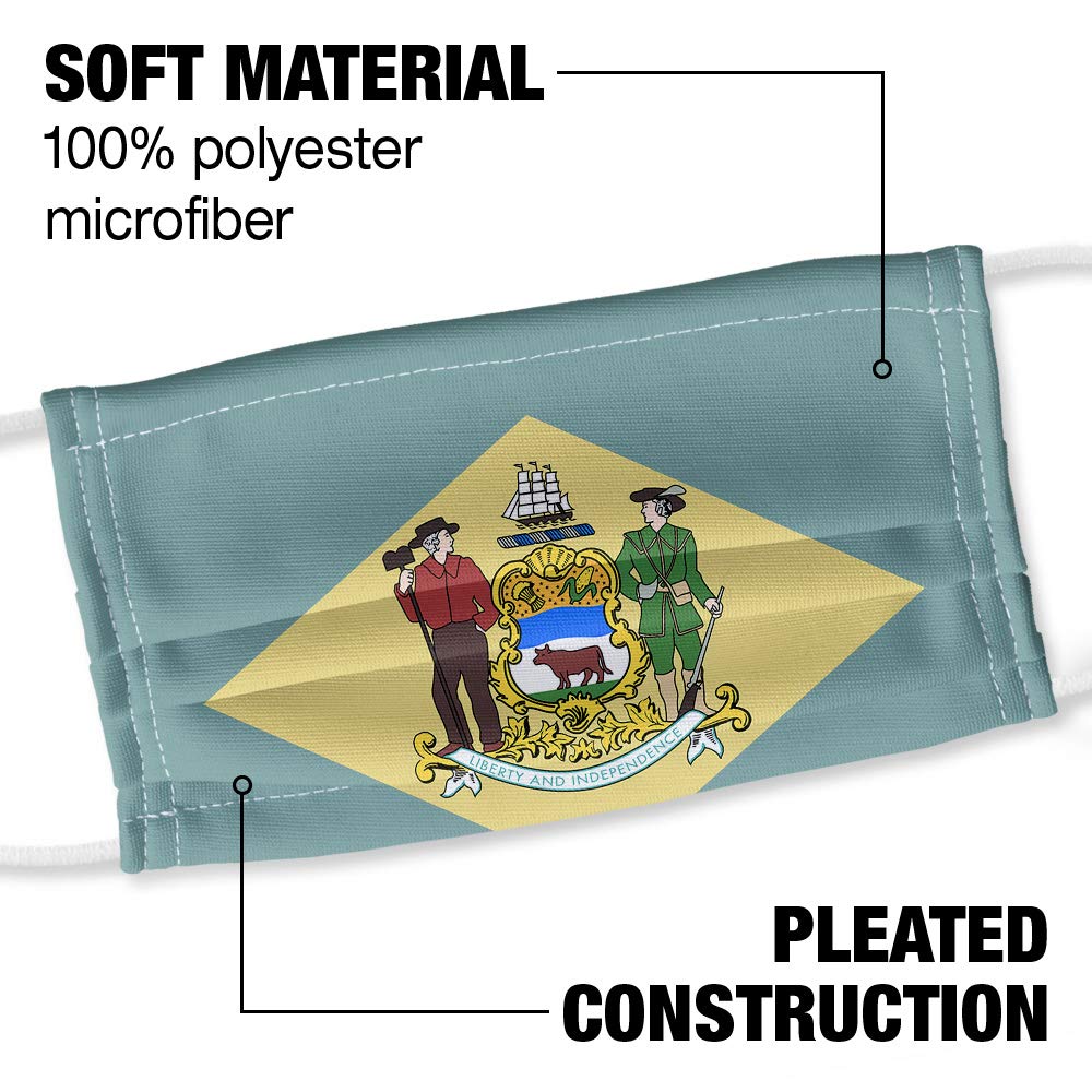 Popfunk Delaware Flag 1-Ply Reusable Face Mask Covering with Adjustable Nose Wire, Unisex