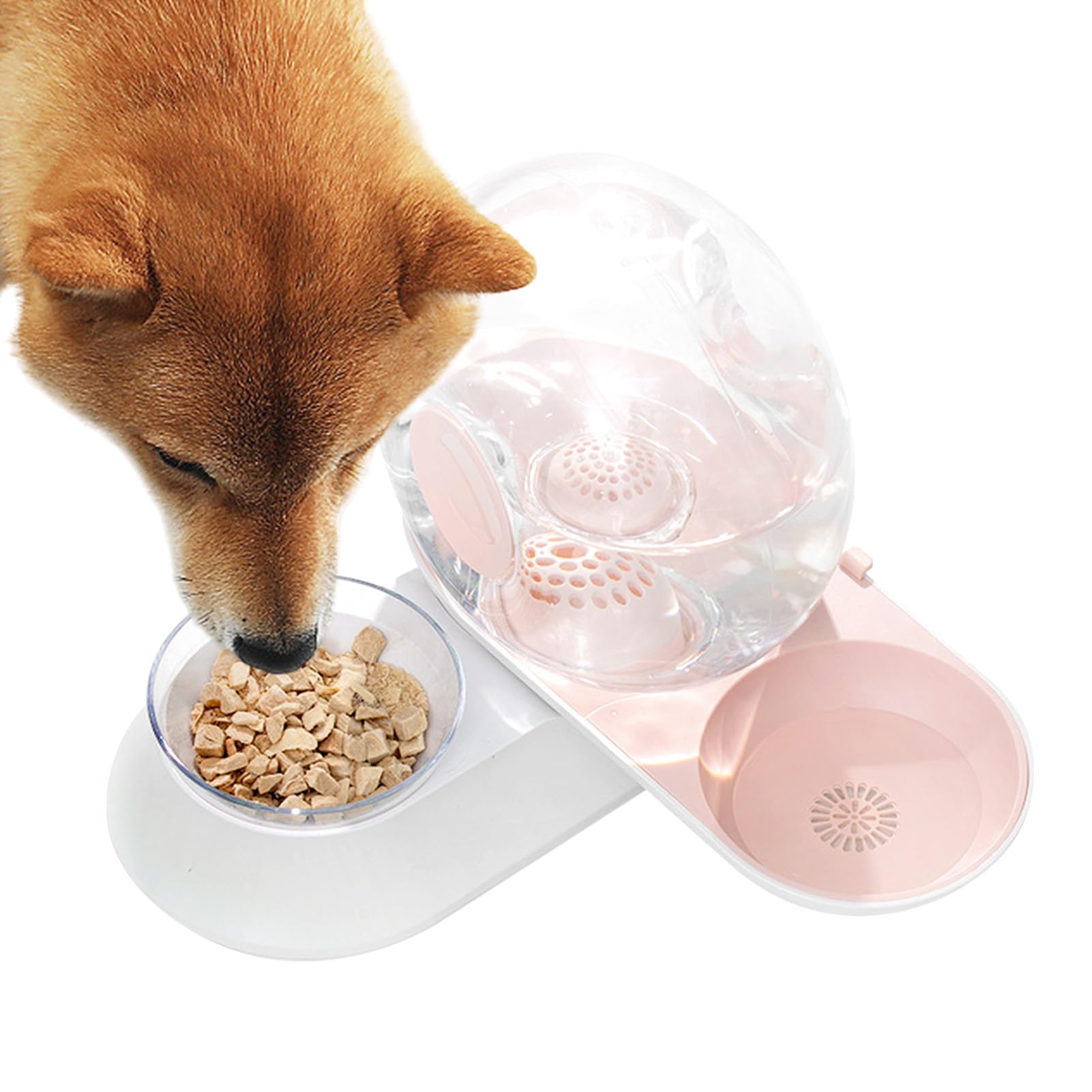 Bebedero para Gatos Bebedero de Sifón a Prueba de Derrames con para | Dispensador Automático de Agua para Perros para Cachorros Conejos Animales Todas las Razas