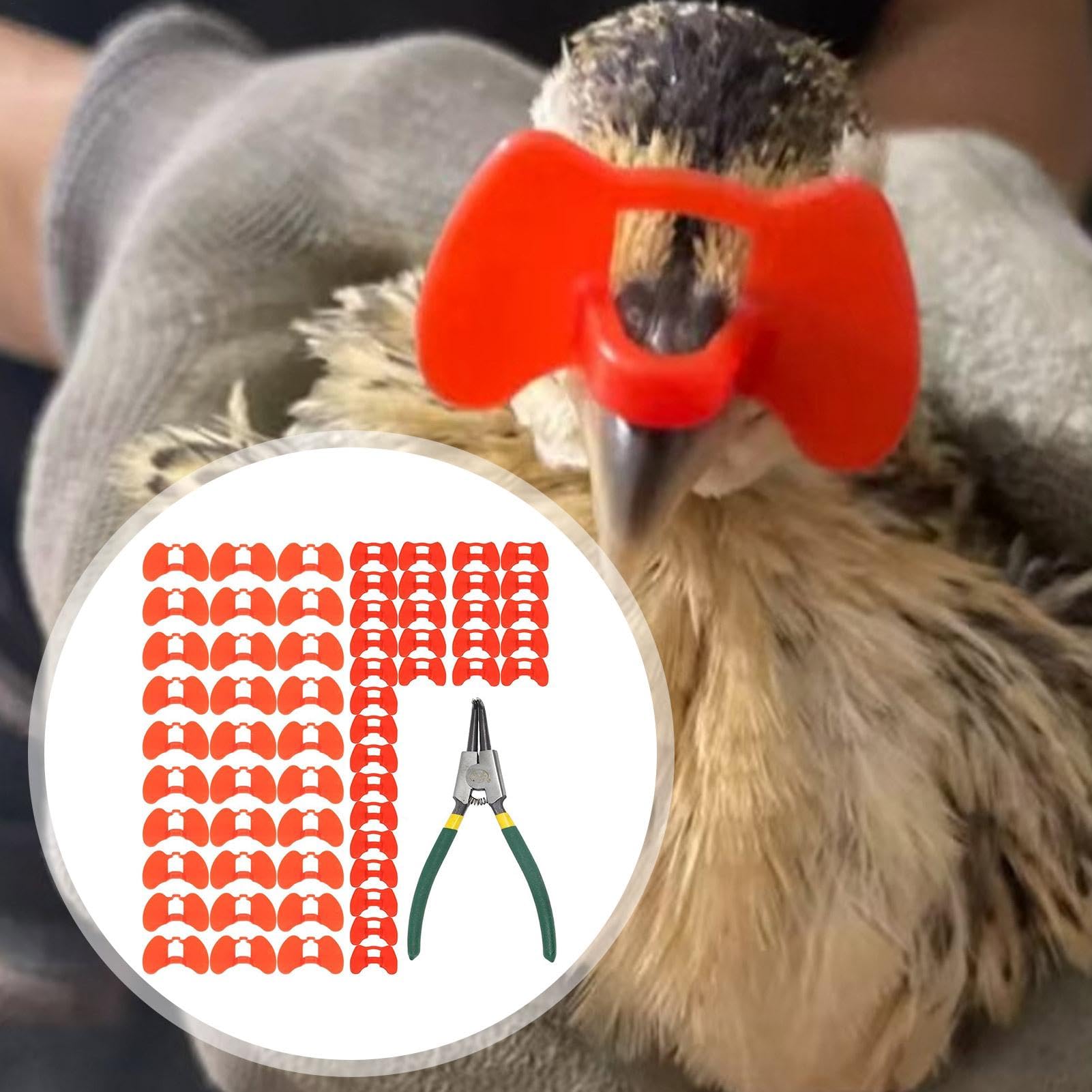 Anti-Peck-Blinders für Huhn – Fasan-Anti-Kampfbrille – Hühnerbrille Geflügel-Blinder-Brille mit Zangen-Set für Fasan-Hahn