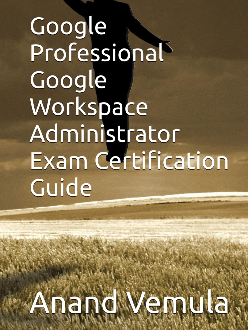 Google Professional Google Workspace Administrator Exam Certification Guide