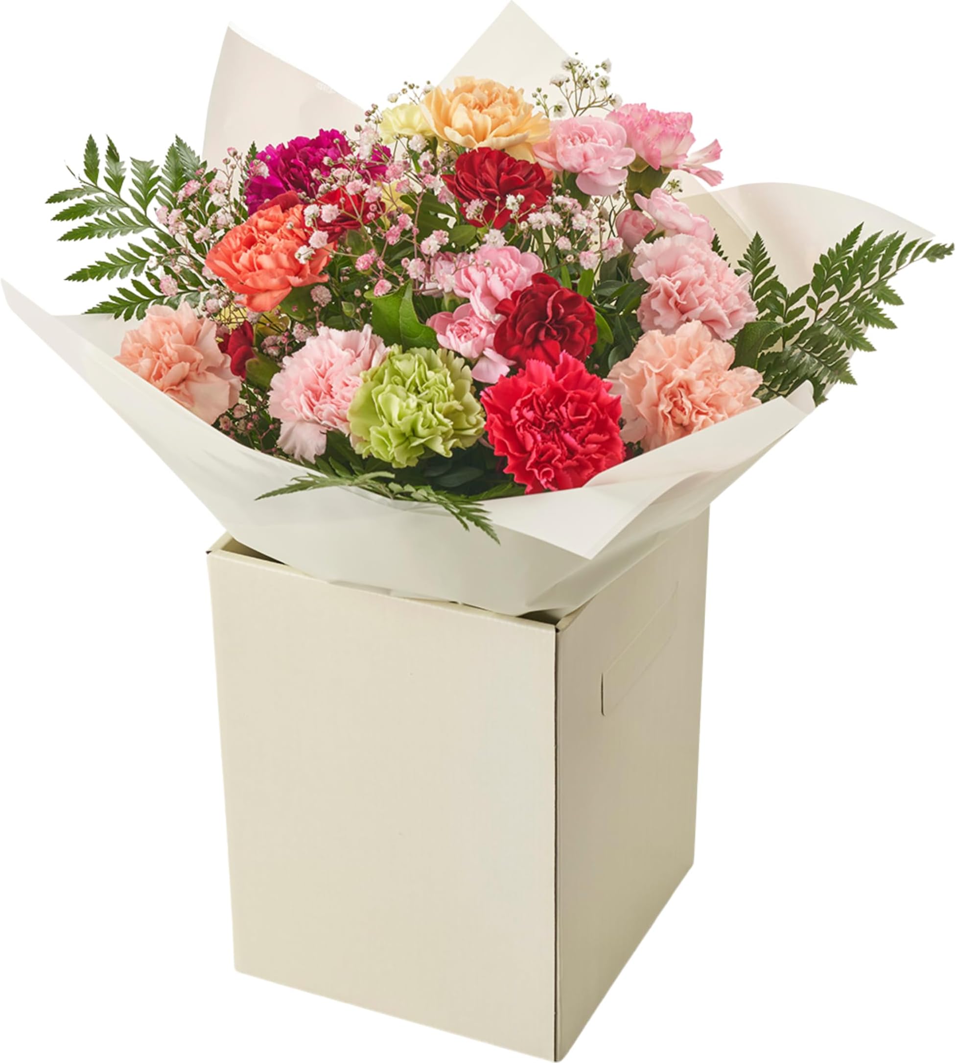 Simple Beauty Bouquet Fresh Flowers - Carnation Autumn Arrangement celebrating Birthdays, Get-Well, Anniversary, Thoughtful Gifting, Floral occasions, Long-Lasting Blooms