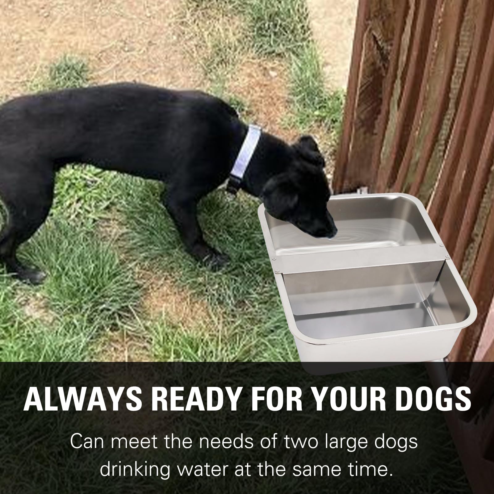 Dispensador automático de cuenco de agua de 4 galones para perros, comedero de agua de acero inoxidable de gran tamaño para aves de corral y ganado para animales al aire libre, incluye manguera de