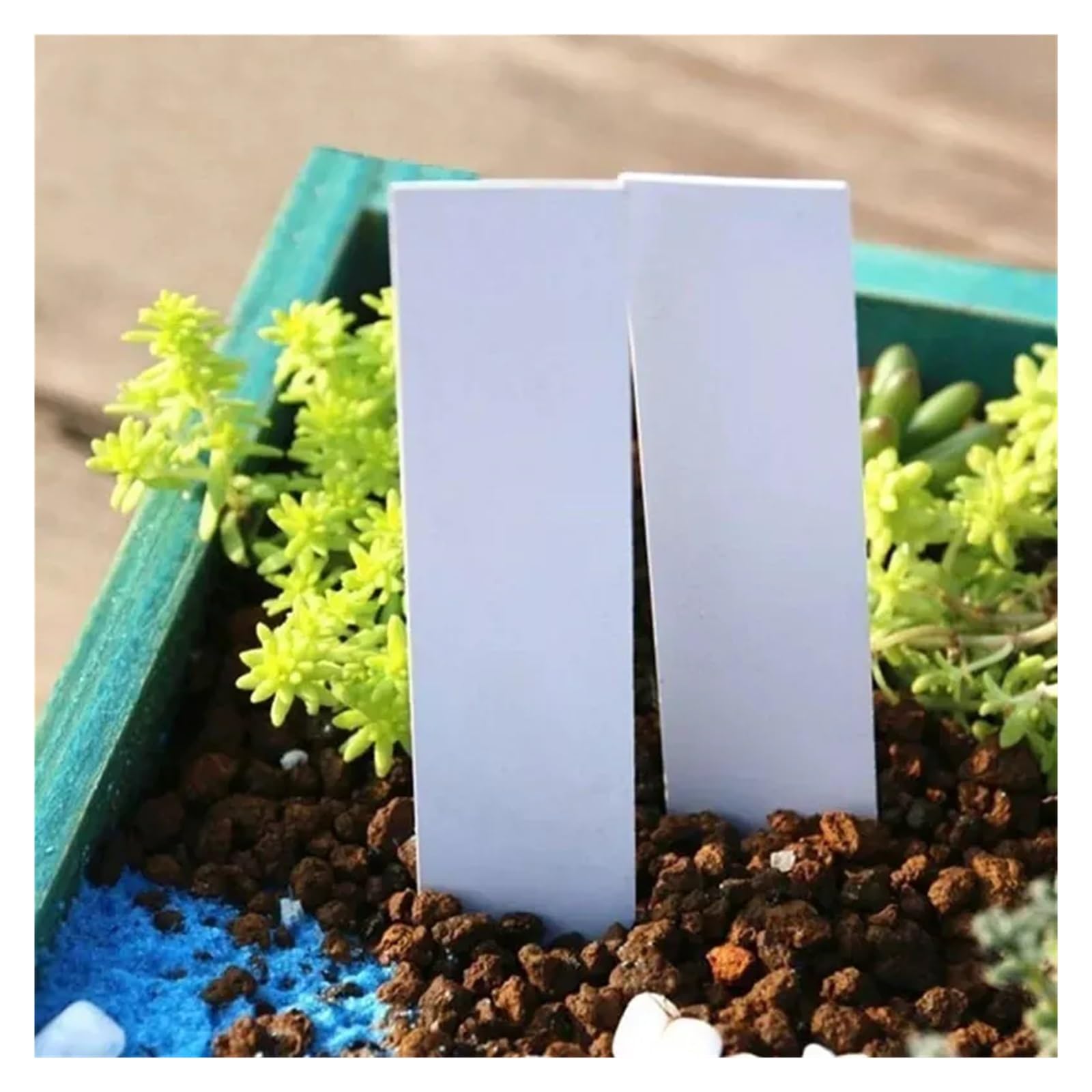 ETICHETTE PIANTE IN Plastica Facile Da Scrivere 2 Colori Etichetta Pali - Foto 8