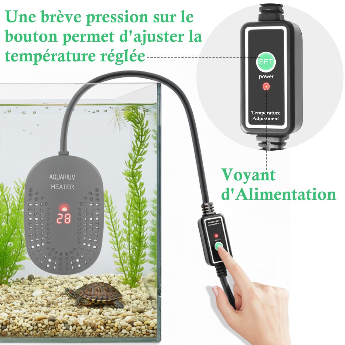 Mini Chauffage pour Aquarium 50W 100W, Chauffage Réglable pour Aquarium avec Contrôleur de Température Externe, Chauffage Incassable pour Poissons et Tortues, Eau Douce et Eau Salée (100W)