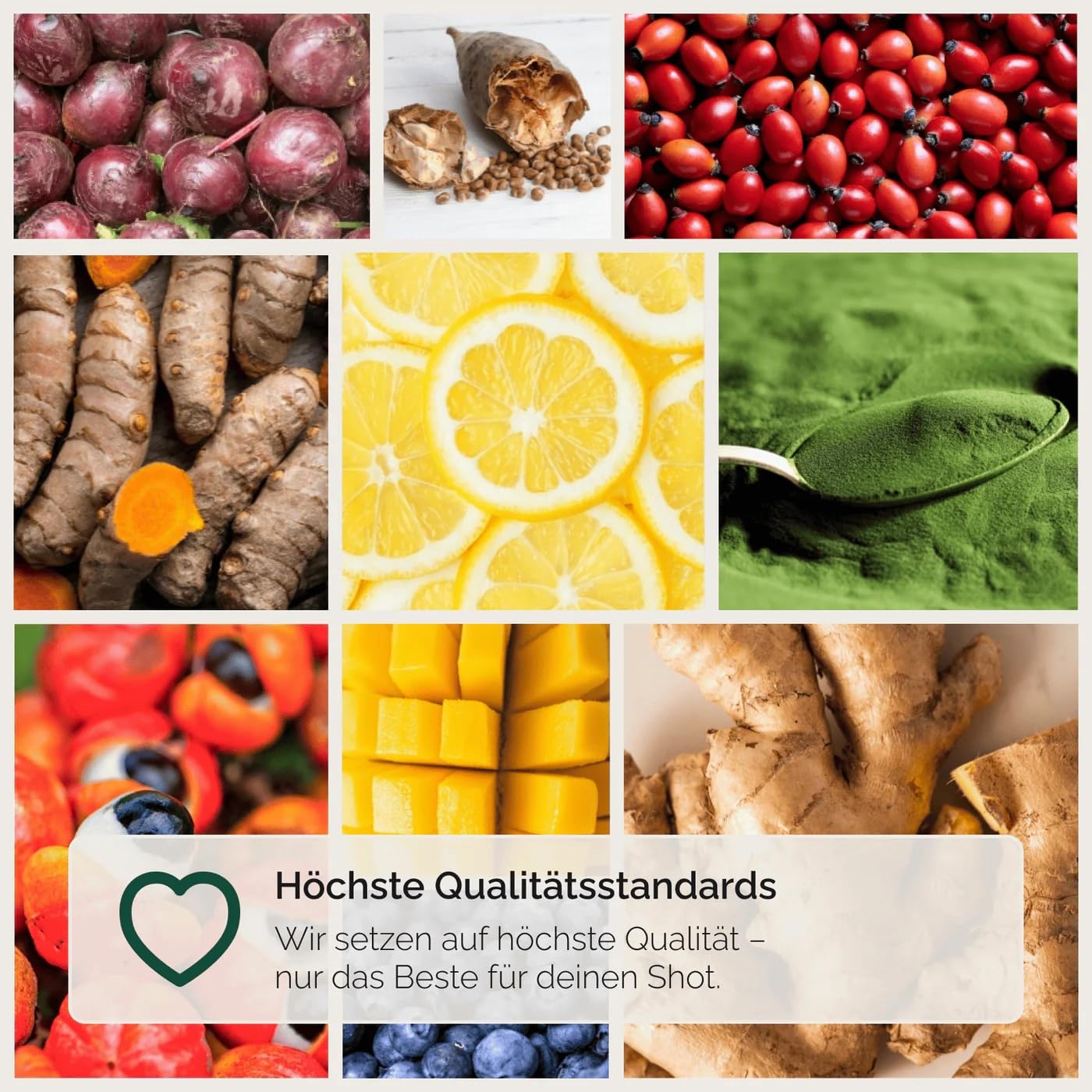 Hansegrün - Kennlernset - Bio-Shots mit Ingwer, Greens & Guarana (150 Shots) - Veganes Superfood-Pulver zur Stärkung von Immunsystem¹, Darmfunktion³ & täglicher Energie² - 100% echte Zutaten