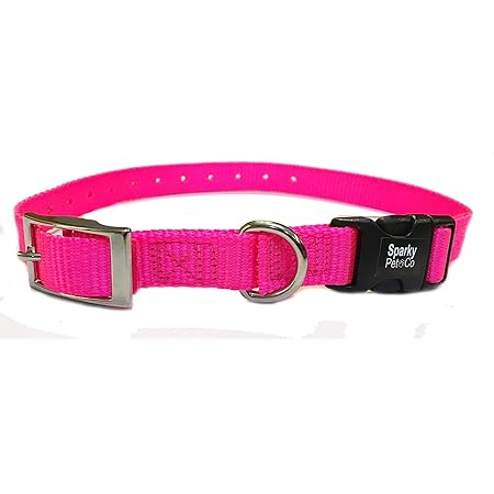 dogtra quick release collar