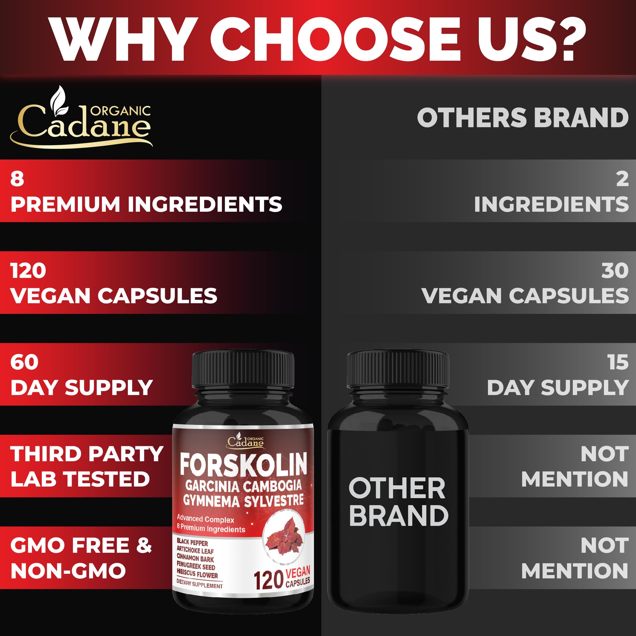 Cadane Forskolin Supplement with Garcinia Cambogia, Gymnema Sylvestre, Cinnamon Bark and More - Vegan, Non-GMO – 120 Capsules – 60-Day Supply — Amazon image 5